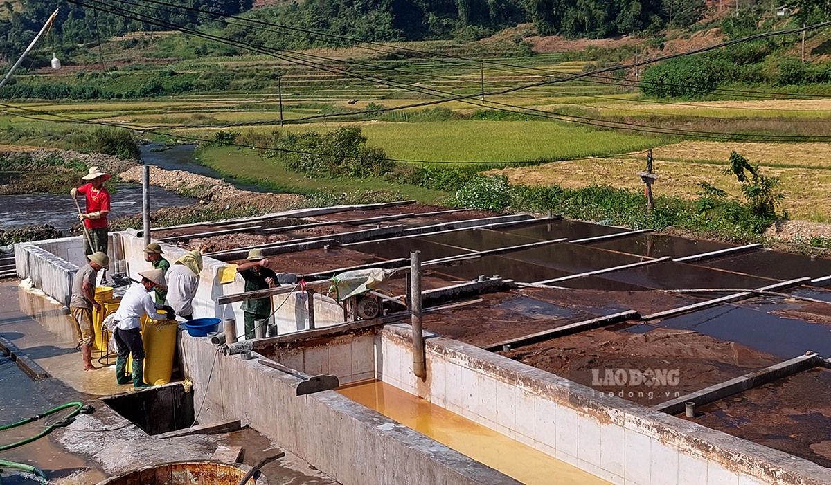 Quy trình xử lý nước thải sản xuất miến dong