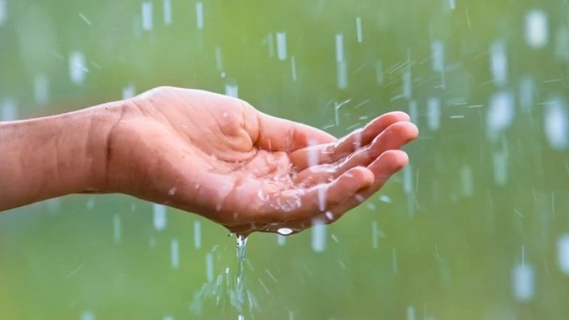 Dùng nước mưa đầu mùa trong sinh hoạt có tốt không?